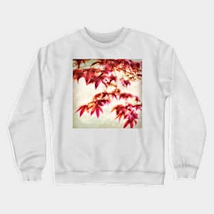 Japanese Maple Square - textured photo art Crewneck Sweatshirt